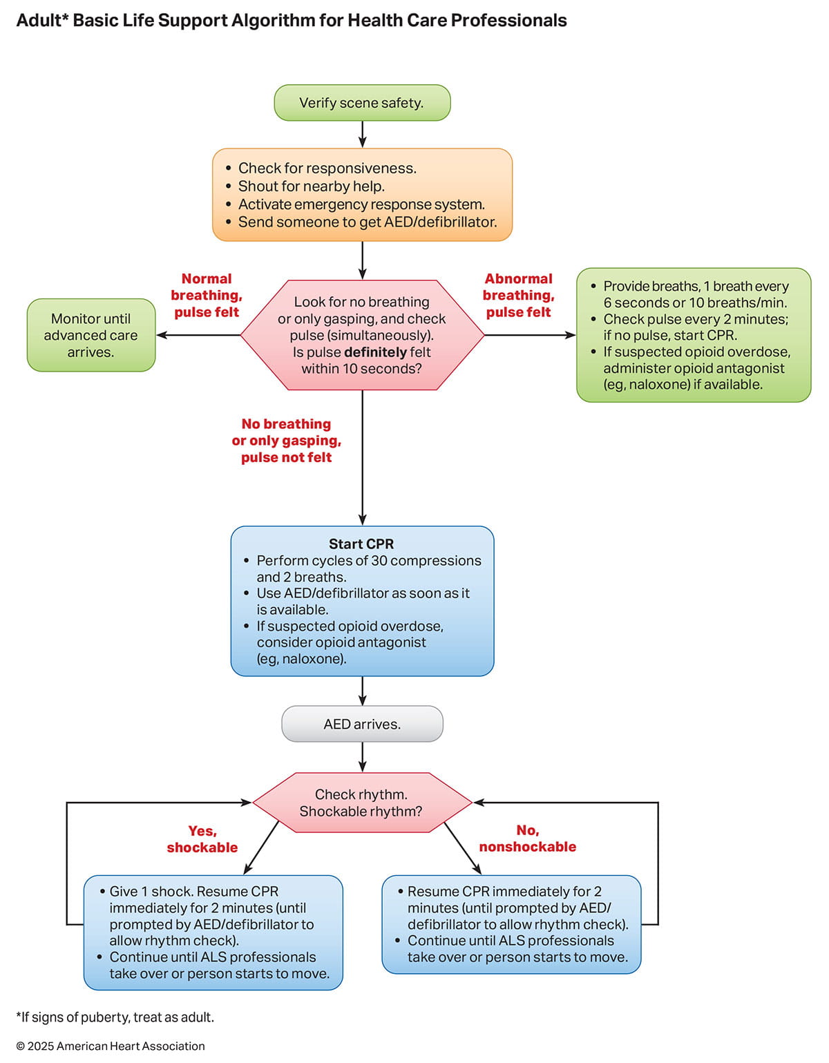 Figure 1. Adult Basic Life Support Algorithm for Health Care Professionals