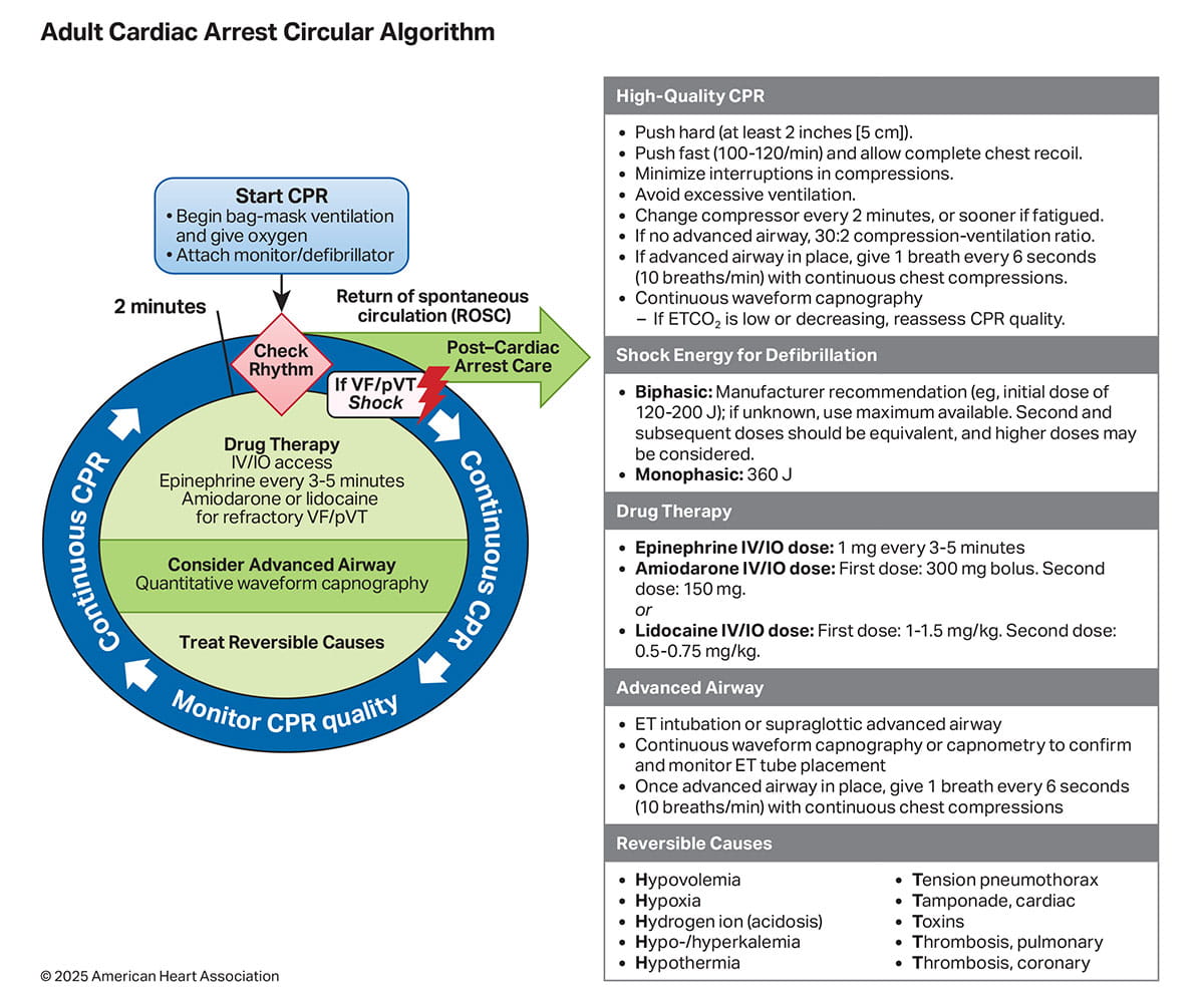 Figure 1 Adult Cardiac Arrest Circular Algorithm