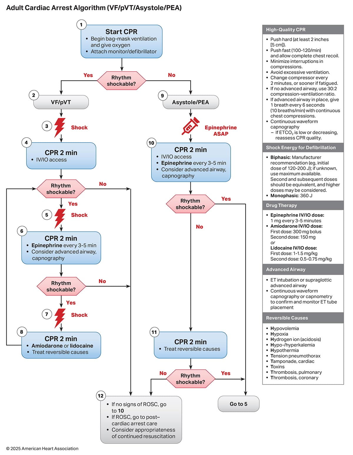 Figure 2. Adult Cardiac Arrest Algorithm