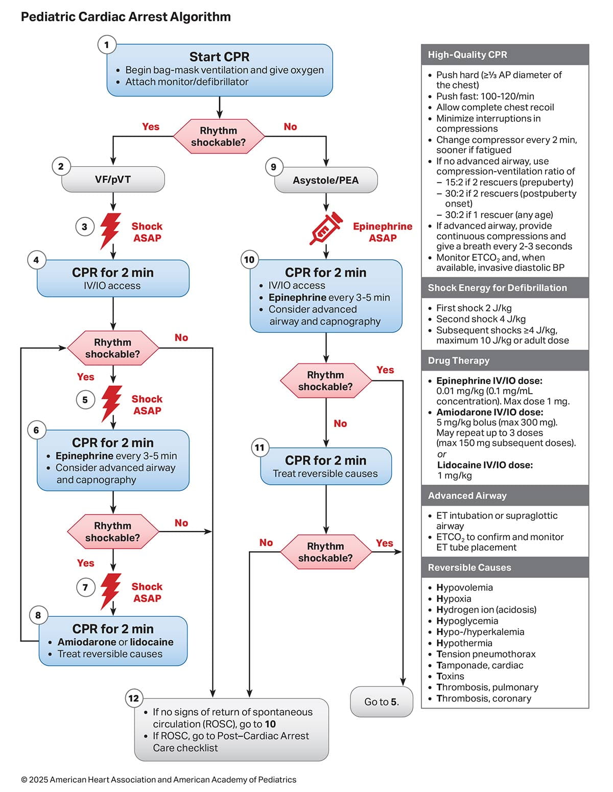 Figure 2 – Pediatric Cardiac Arrest Algorithm
