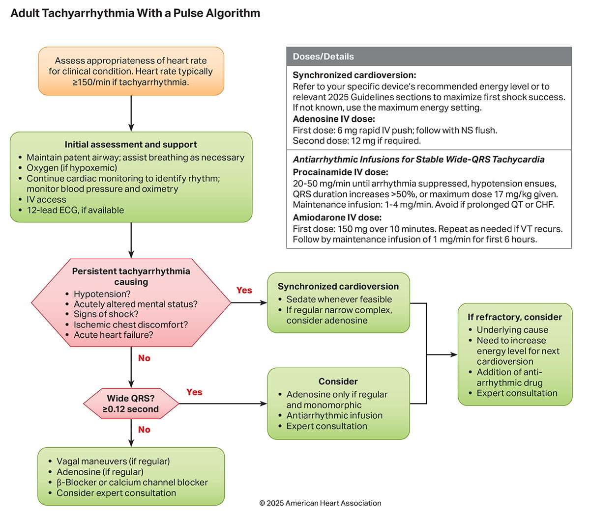 Figure 6. Adult Tachyarrhythmia With a Pulse Algorithm