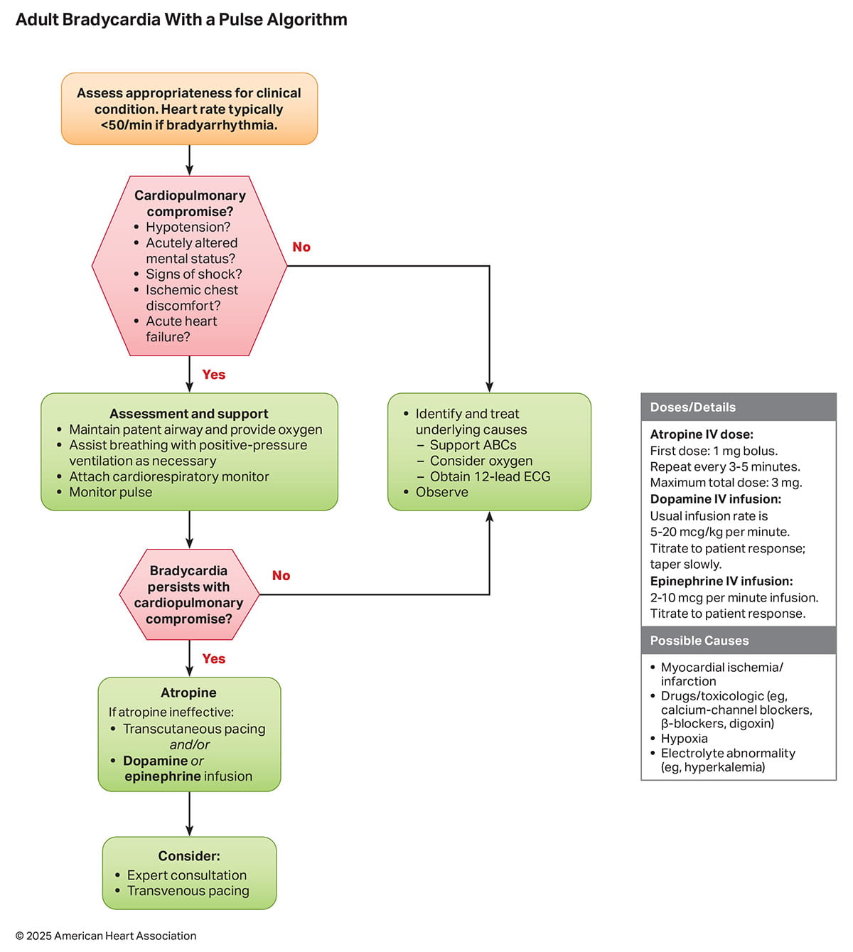 Figure 8. Adult Bradycardia with a Pulse Algorithm