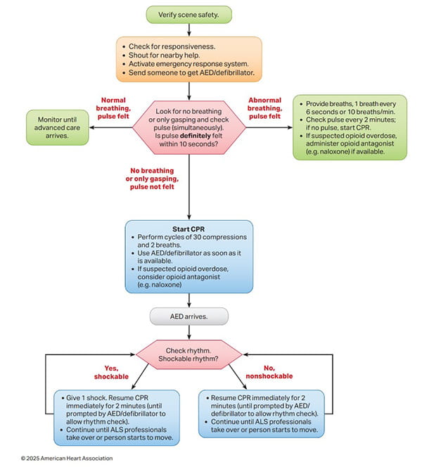 Figure 8 Adult Basic Life Support for Health Care Professionals Algorithm