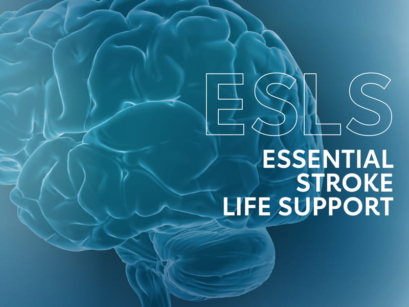 ESLS 800x600 72 dpi min