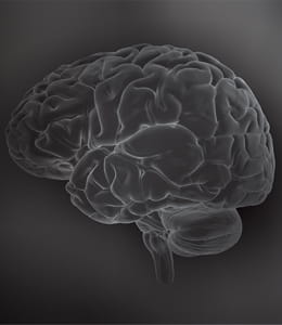 ASLS image